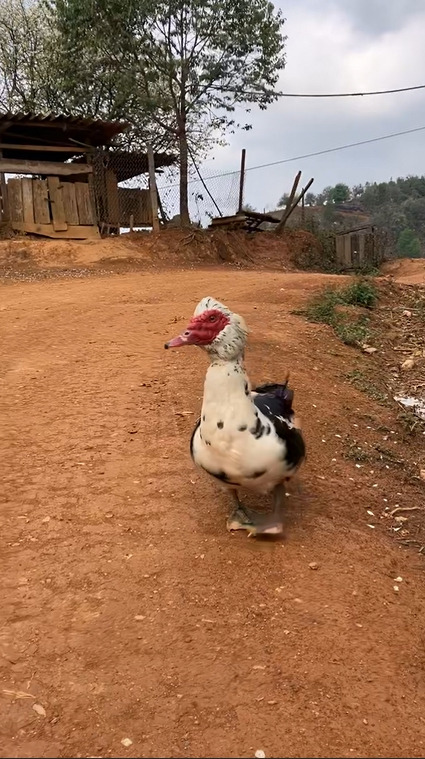 카지노 쿠폰