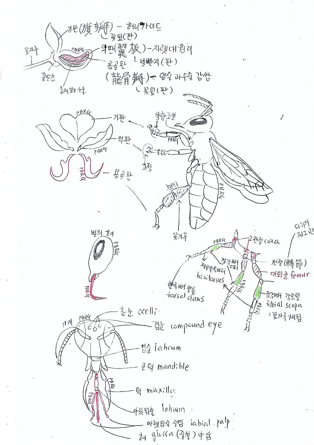 온라인 카지노 게임