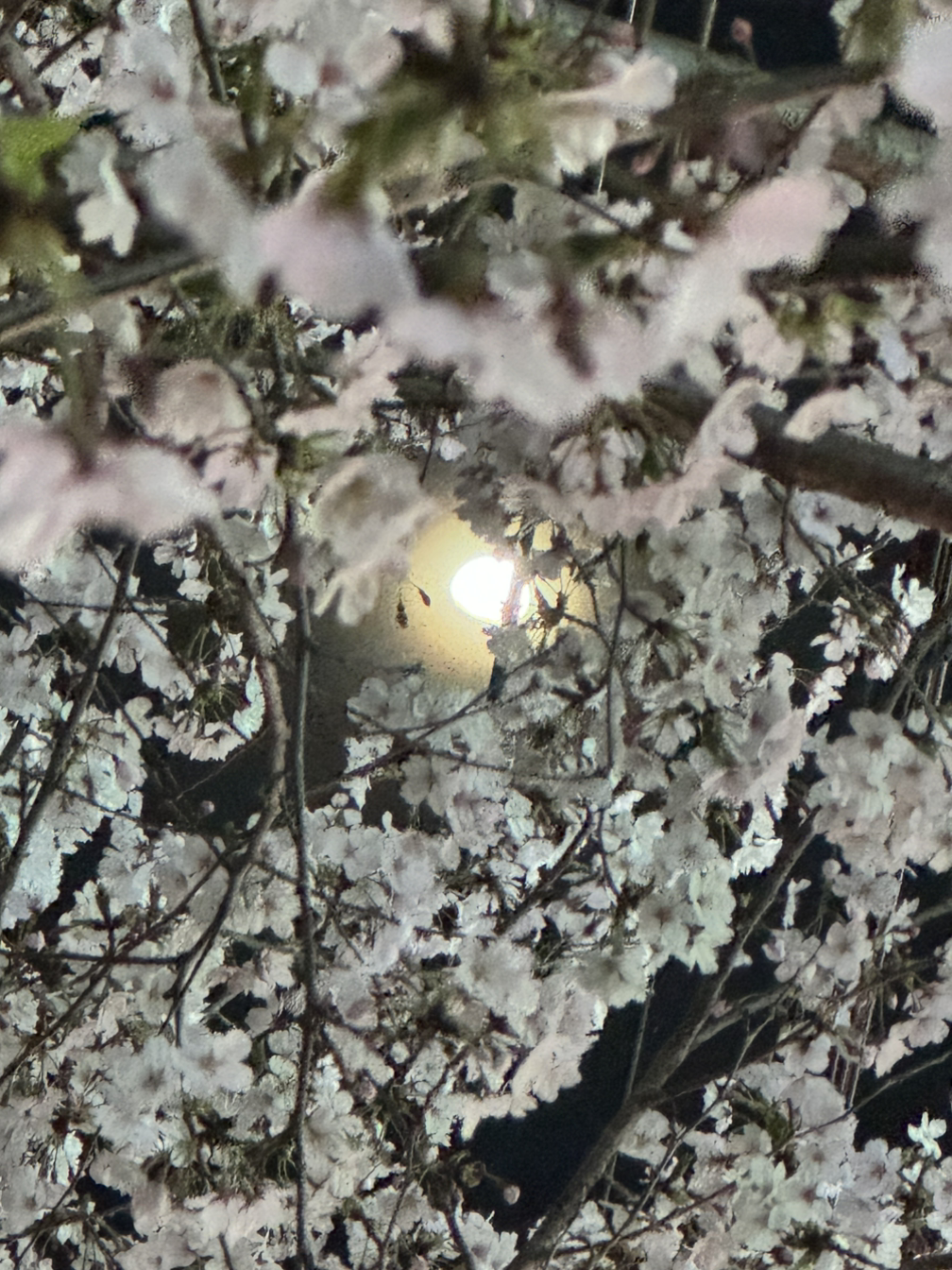 무료 카지노 게임
