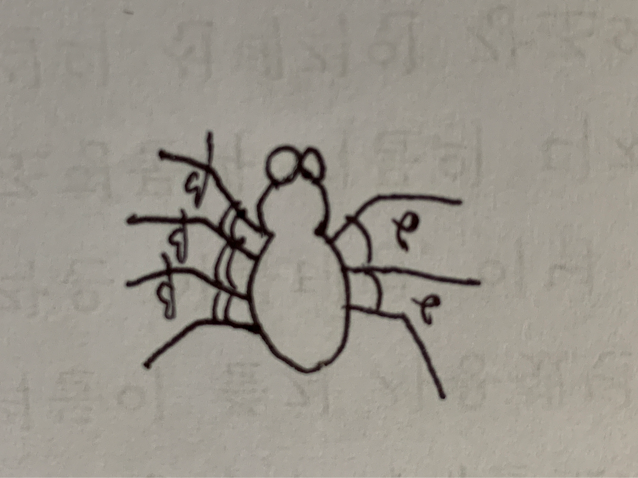 카지노 게임