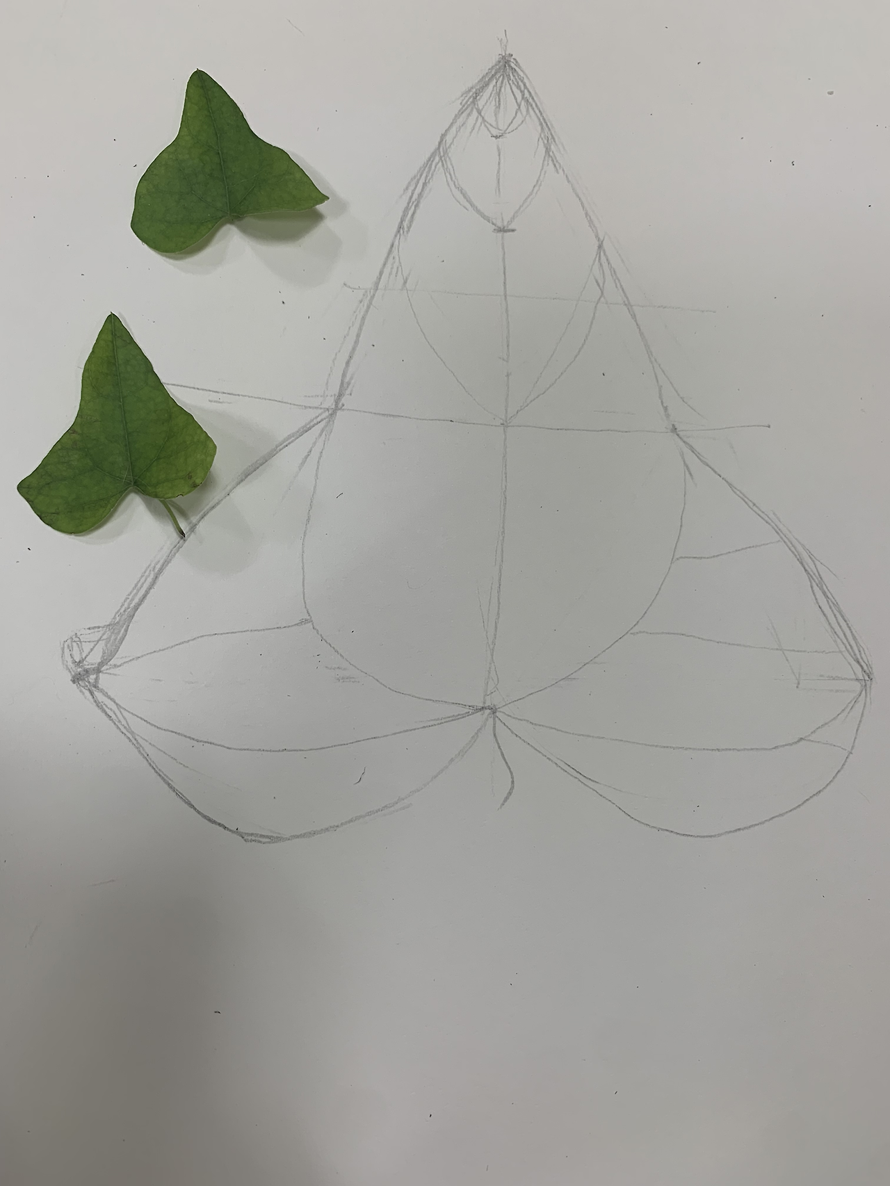 카지노 게임 사이트