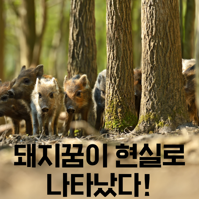 무료 카지노 게임