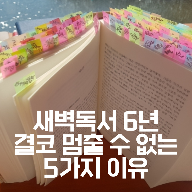 카지노 게임 추천