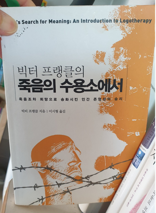 베가카지노