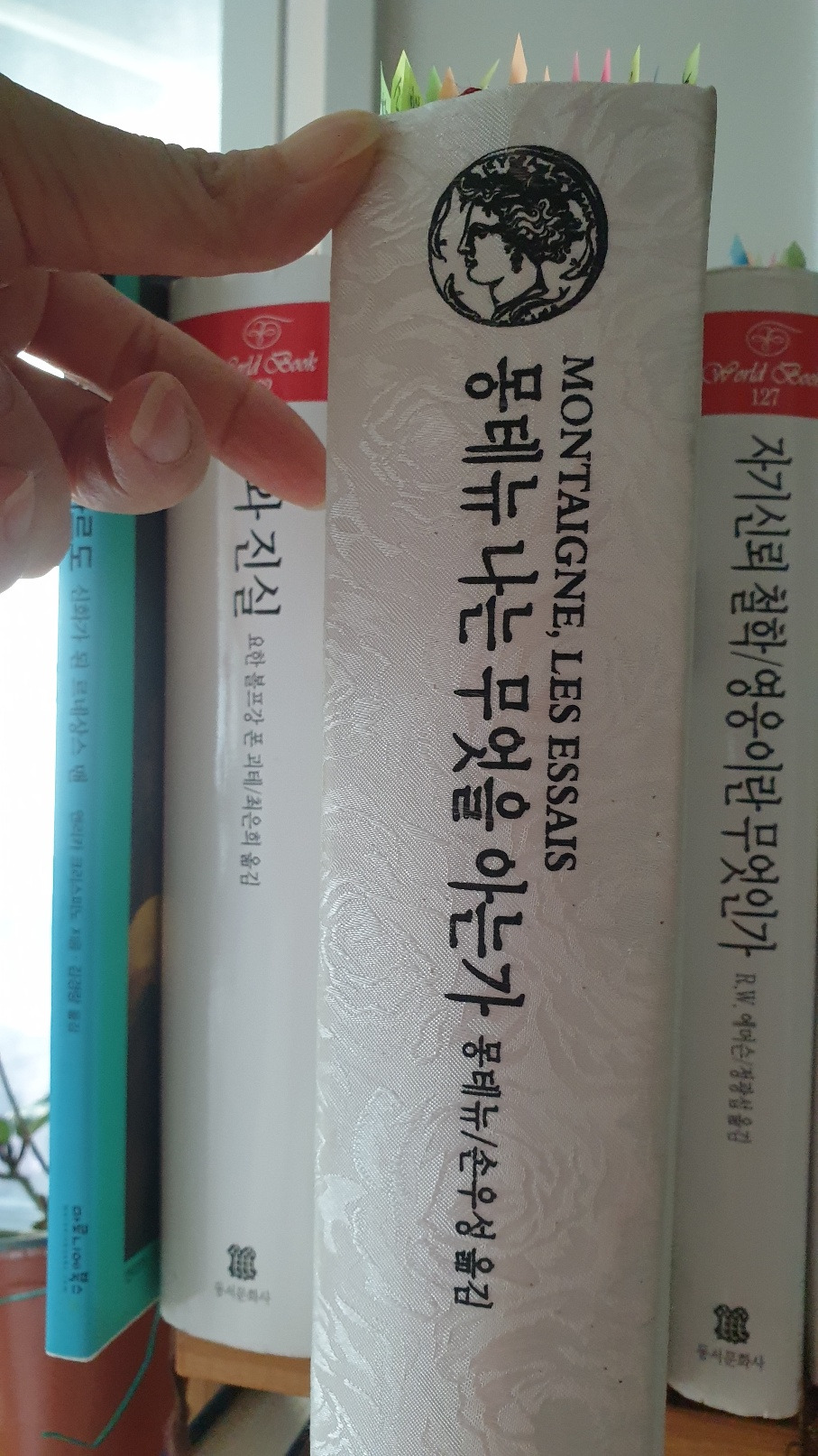 나루토카지노