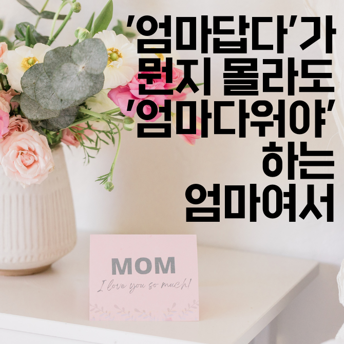 모모벳