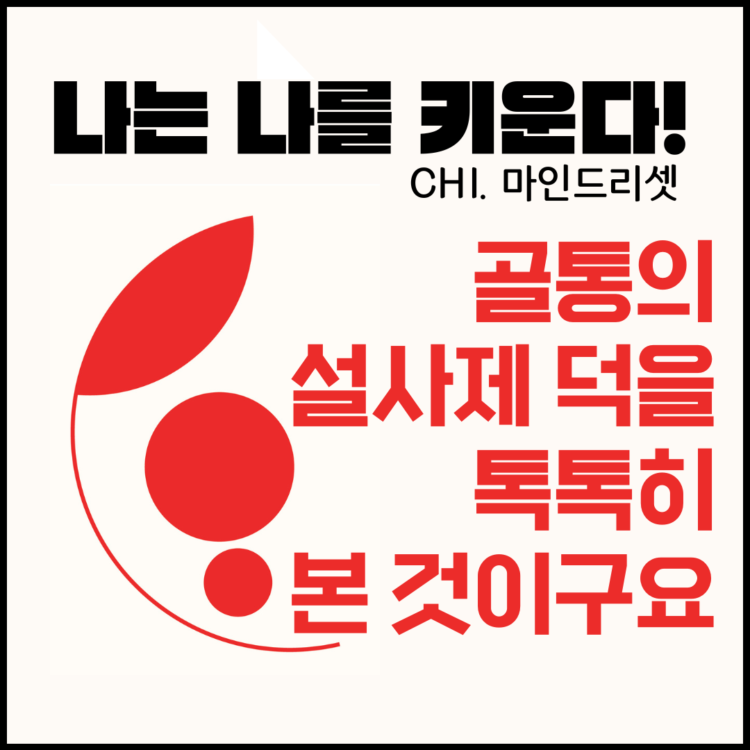 비타임 토토