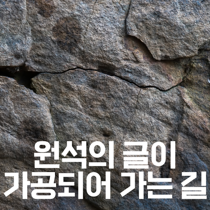 시스템 베팅
