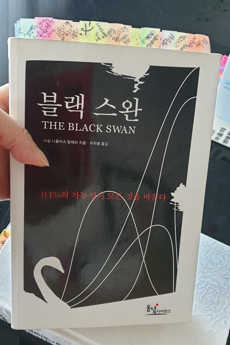 사이다토토