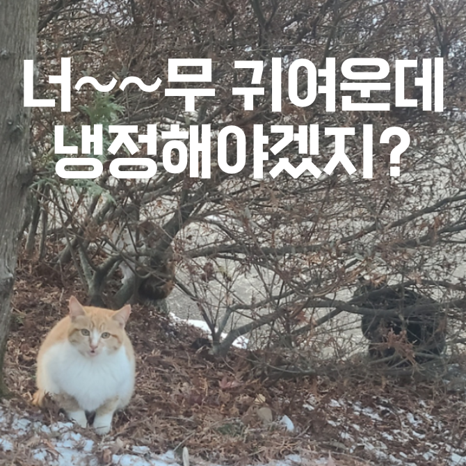 카지노 게임 추천