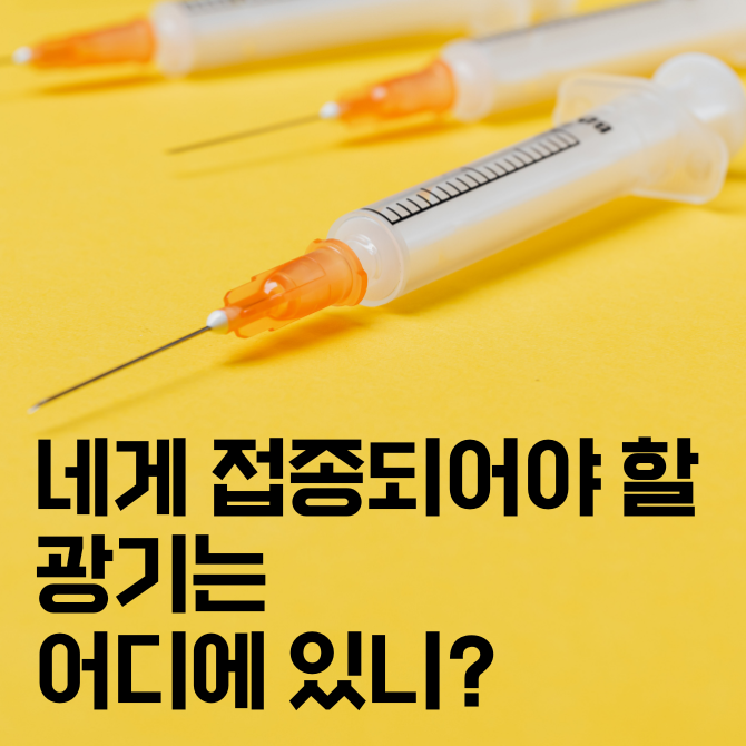 카지노 게임 추천