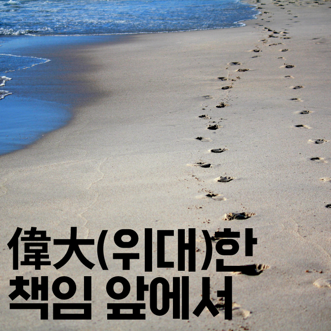 카지노 게임 사이트