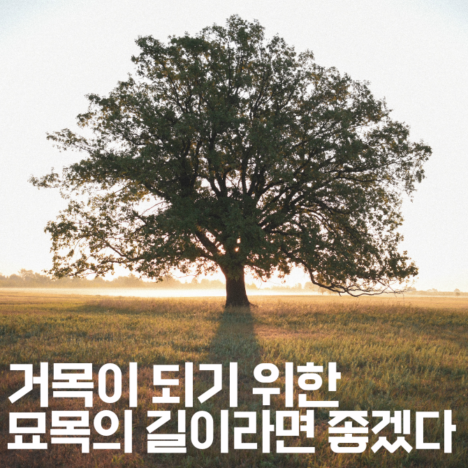 슬롯사이트 추천