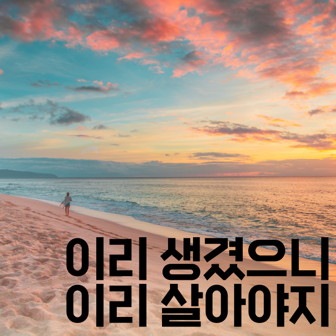 온라인카지노
