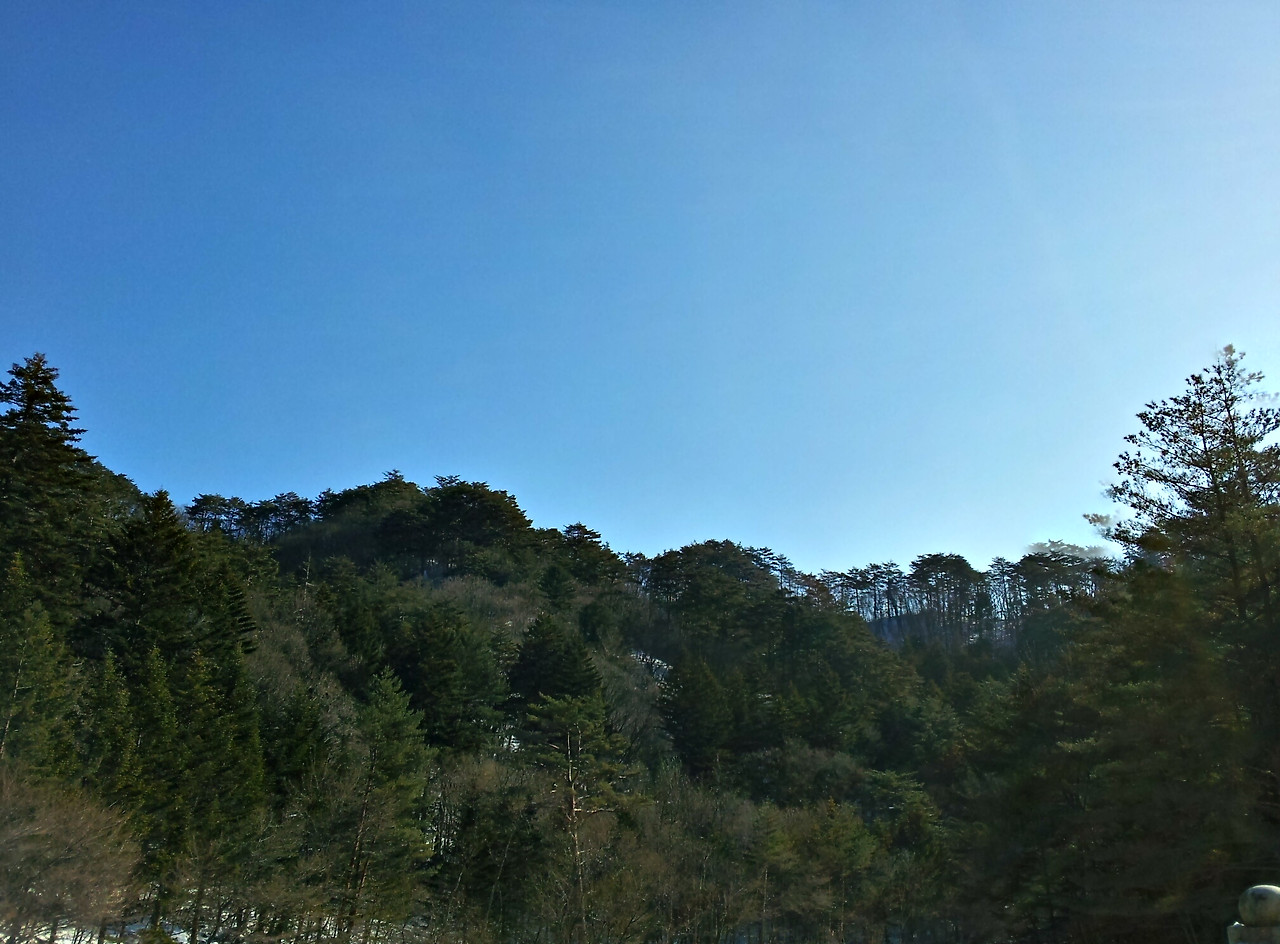 카지노 게임 추천