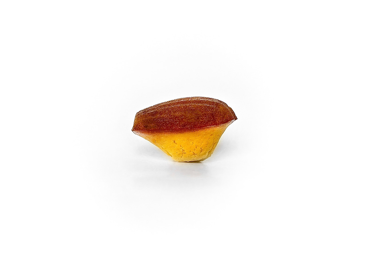 카지노 가입 쿠폰