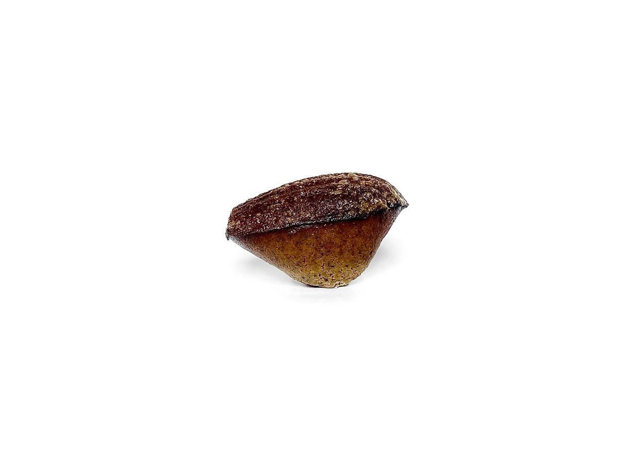카지노 게임 사이트