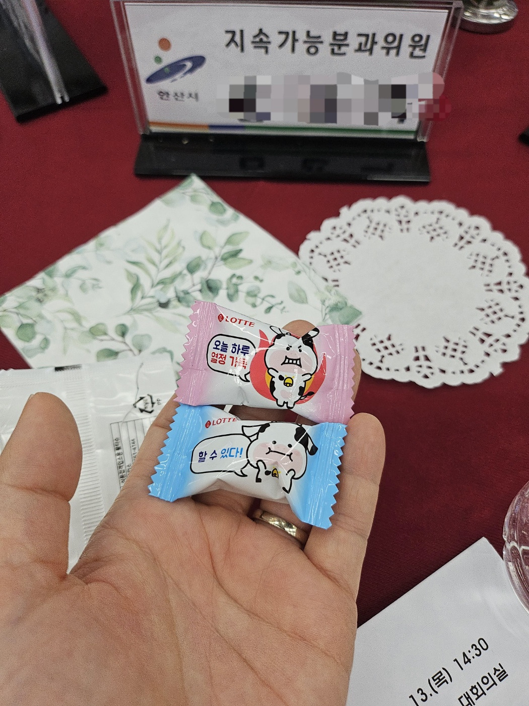 카지노 쿠폰