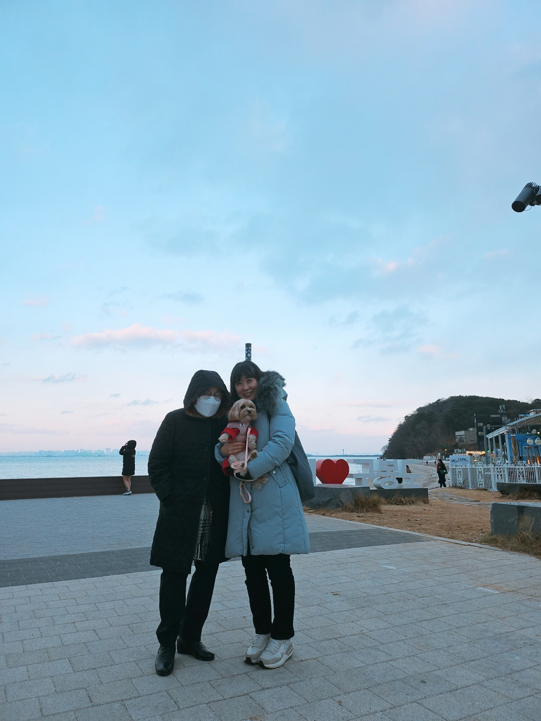카지노 게임 사이트