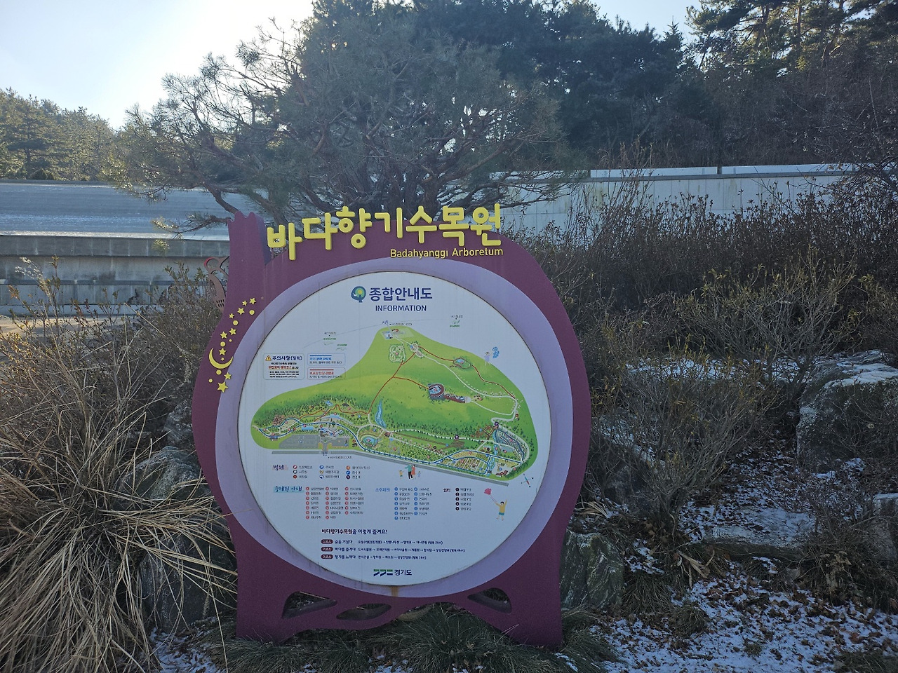 카지노 게임 추천