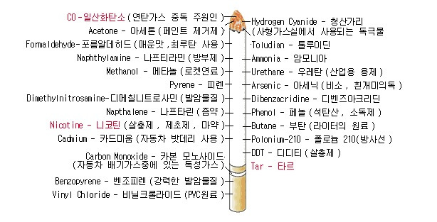 카지노 가입 쿠폰