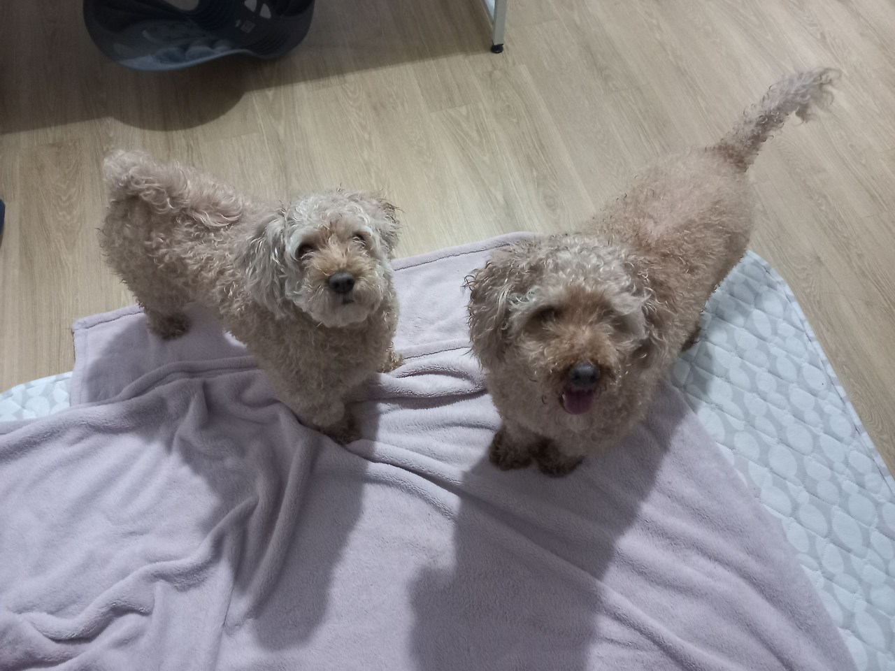 카지노 가입 쿠폰