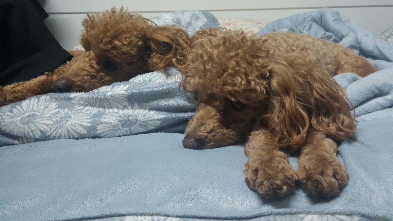 카지노 가입 쿠폰