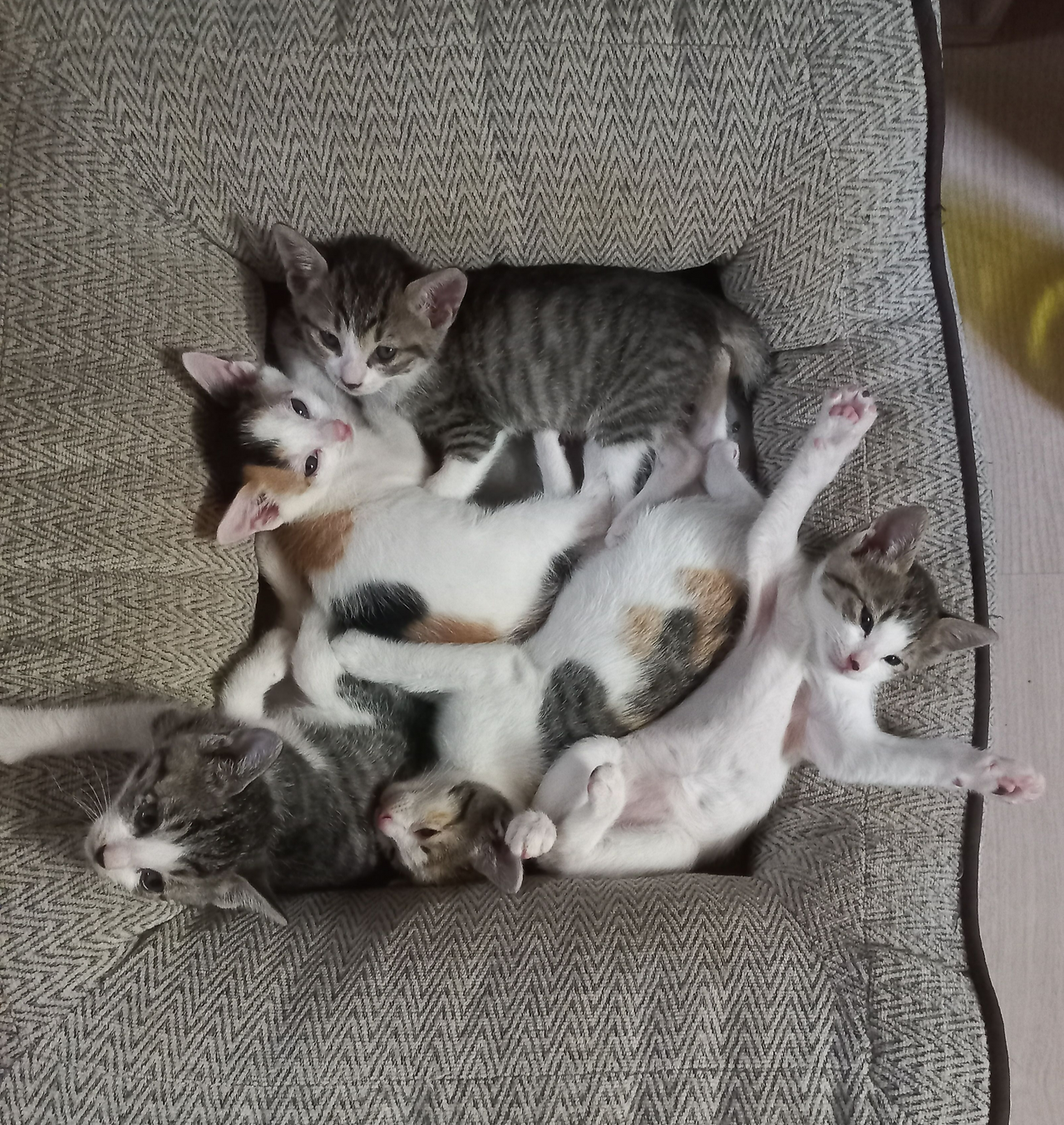 카지노 게임 사이트