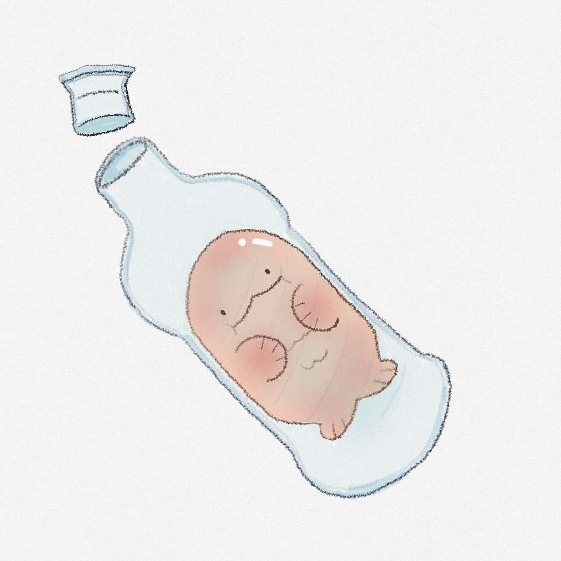 카지노 게임 사이트