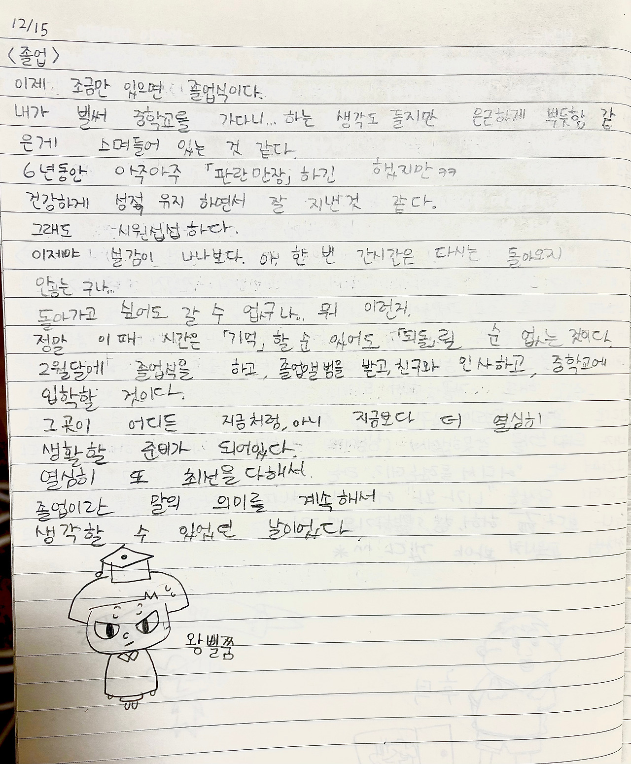 카지노 쿠폰