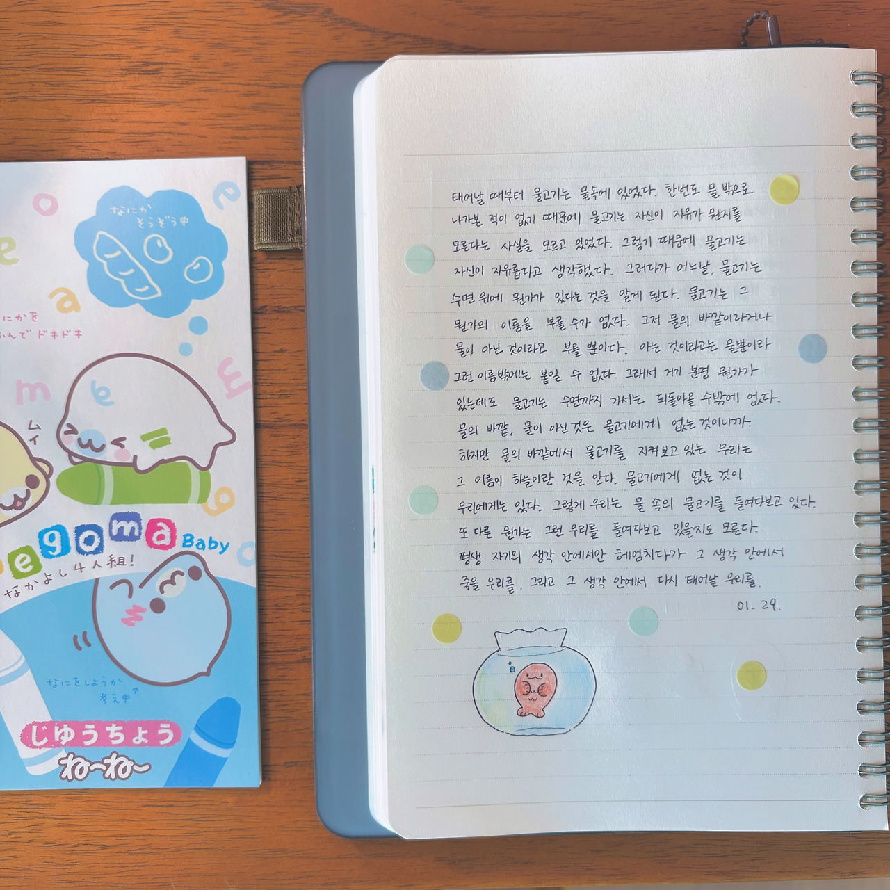 카지노 게임