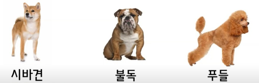 카지노 쿠폰