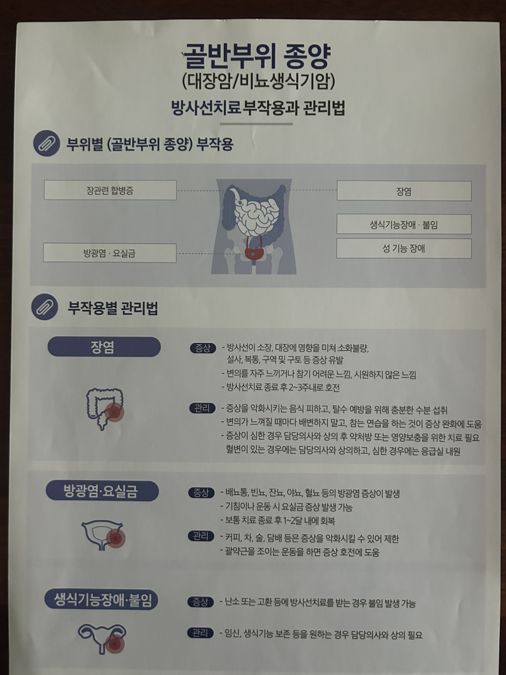 무료 카지노 게임