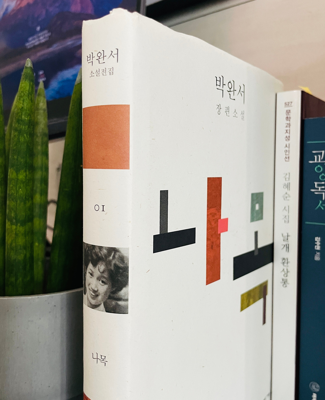 무료 카지노 게임