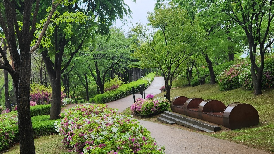 온라인 카지노 게임