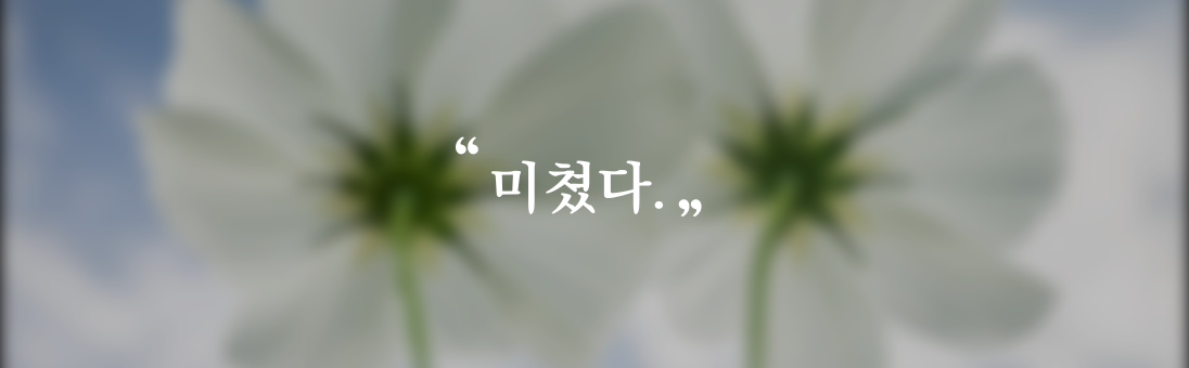 카지노 게임 추천
