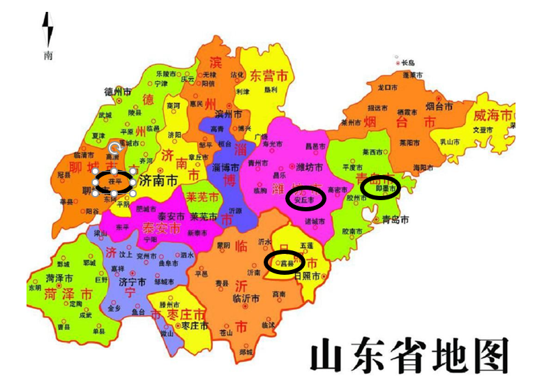 무료 카지노 게임