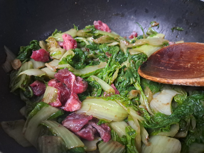 카지노 게임 사이트
