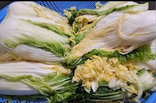 무료 카지노 게임