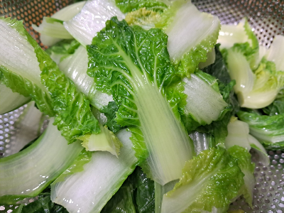 카지노 게임 사이트
