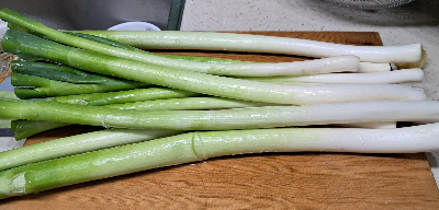 카지노 게임