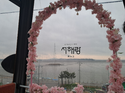 무료 카지노 게임