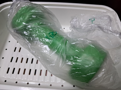 카지노 쿠폰