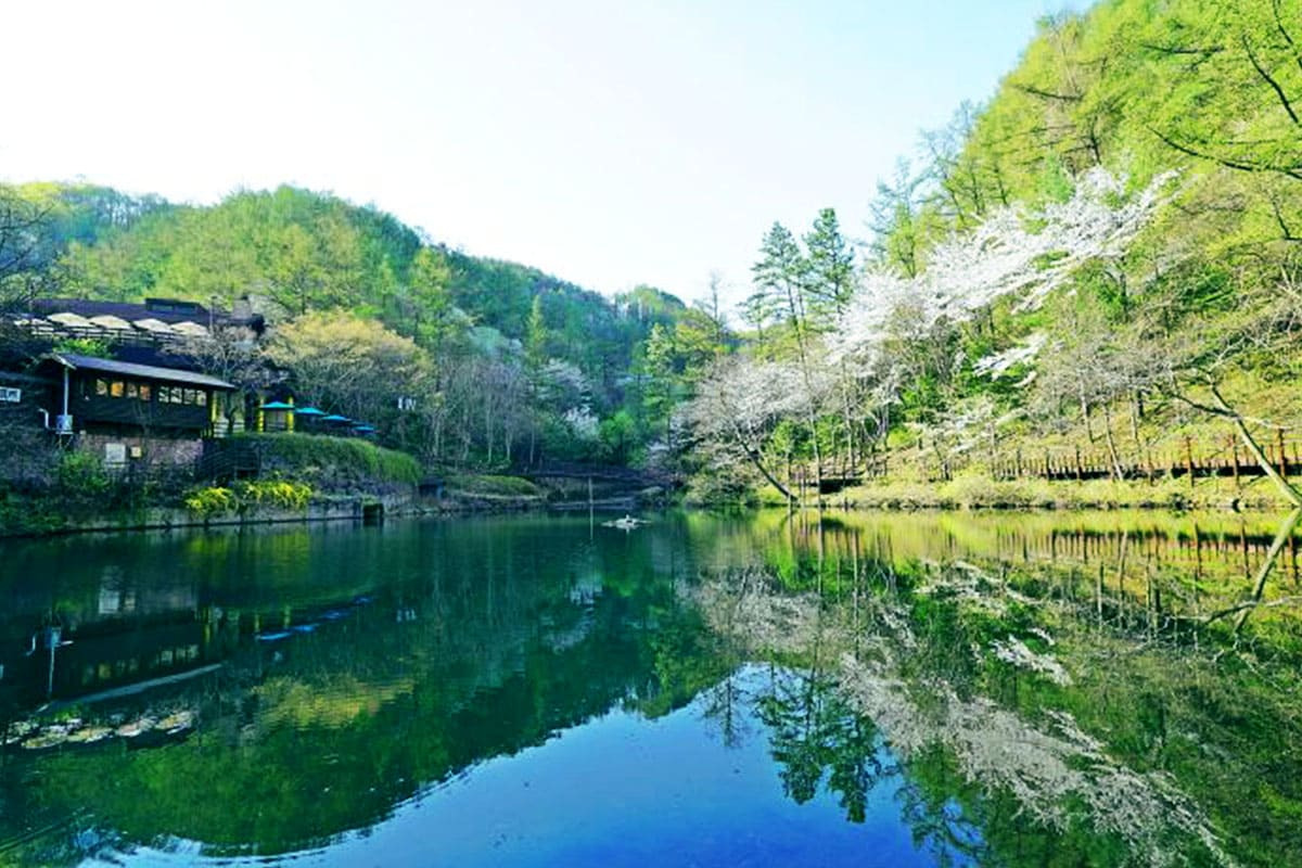2천만명이 인정! 사계절 내내 인기 있는 힐링 명소