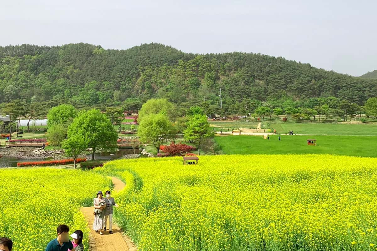 카지노 게임 추천