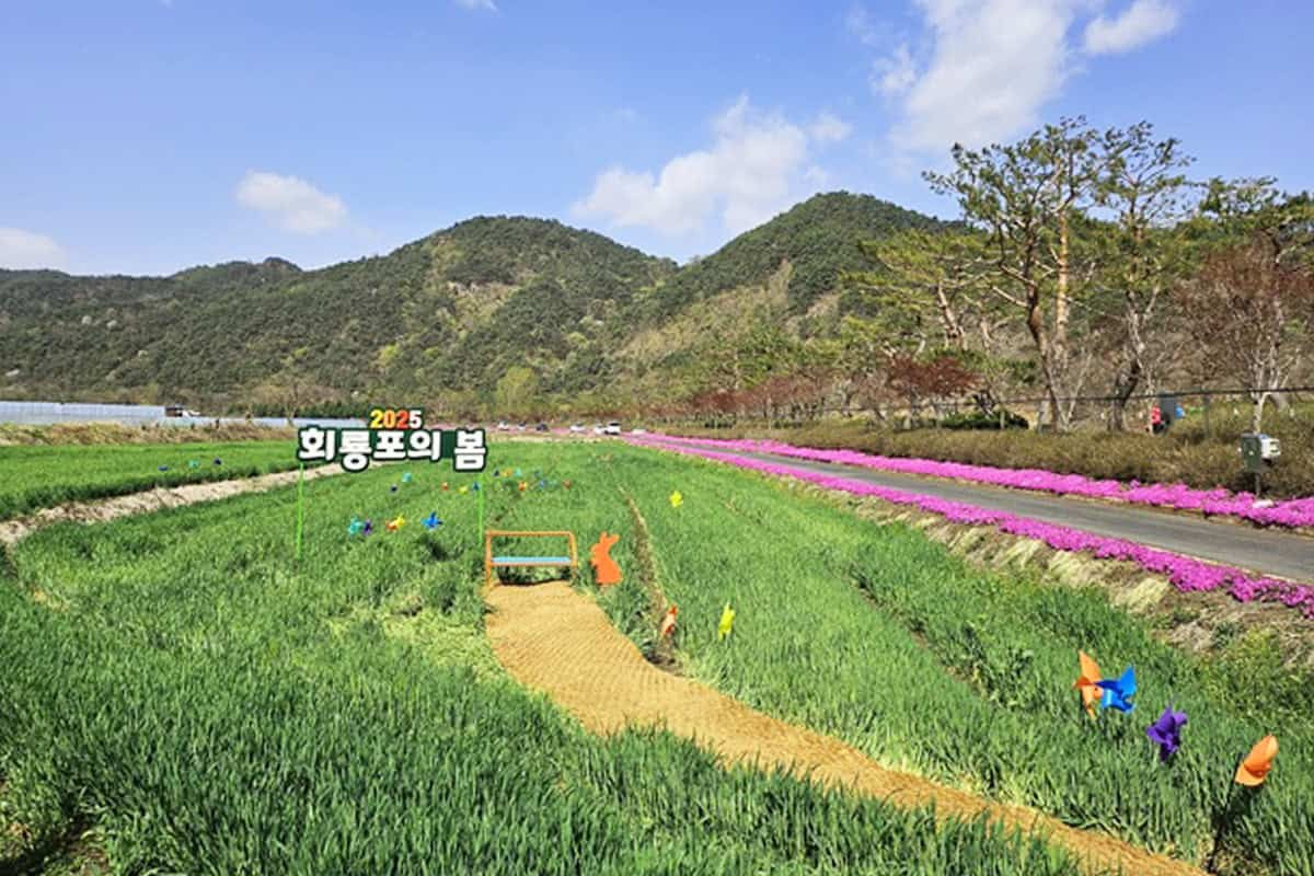 카지노 게임 추천