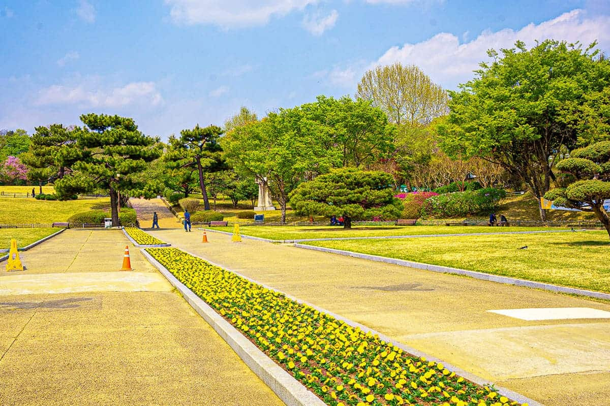 카지노 게임