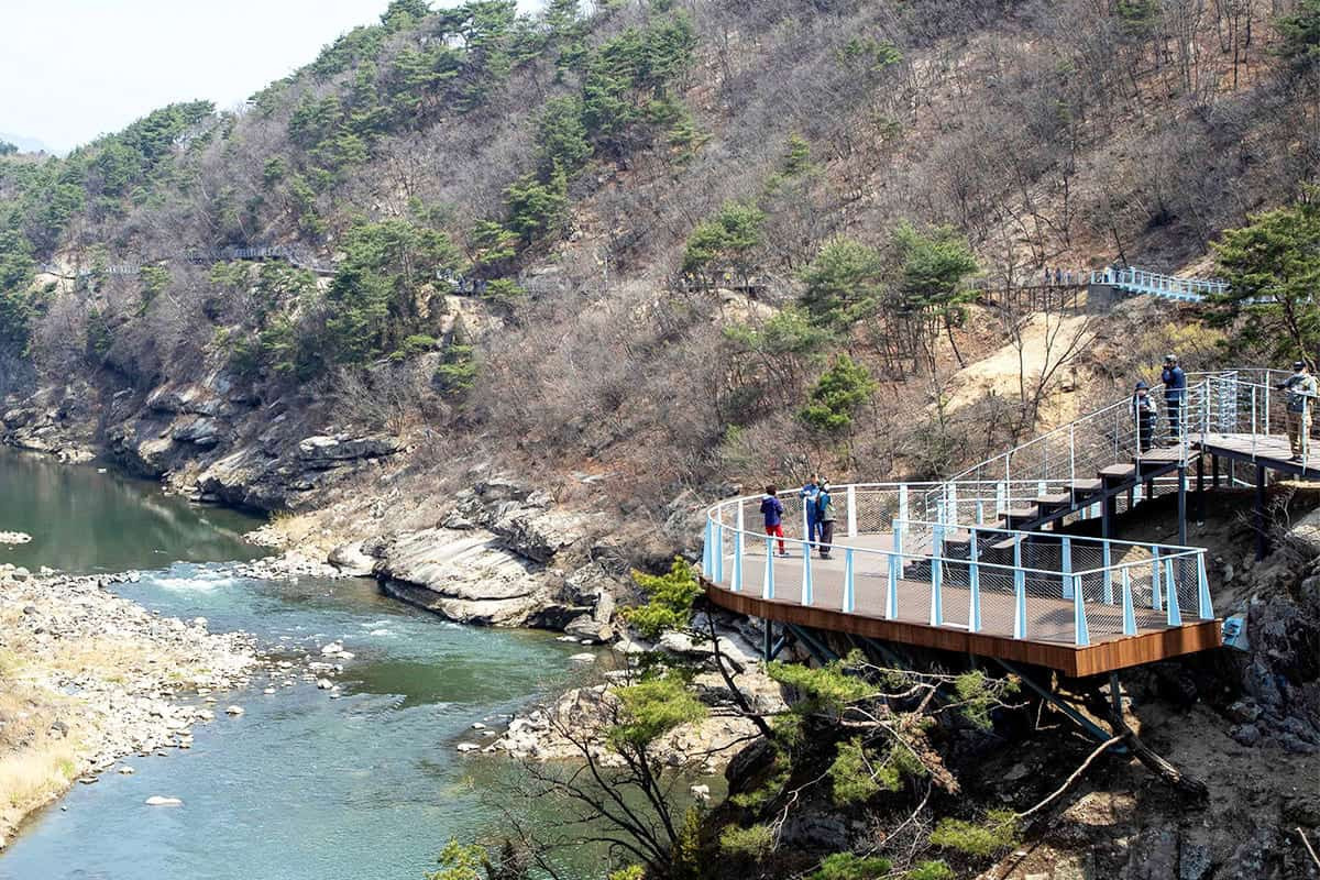 카지노 쿠폰