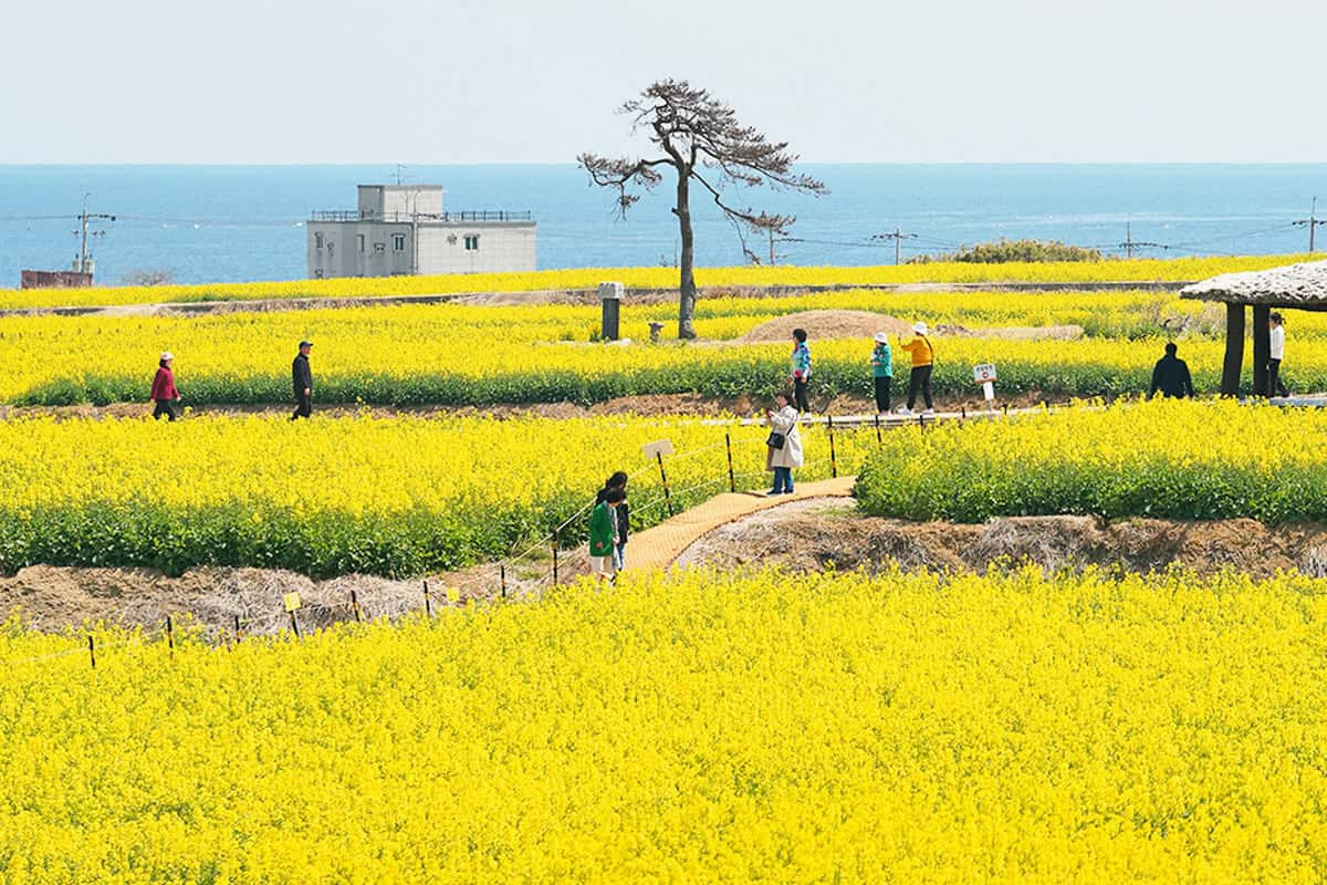 카지노 쿠폰