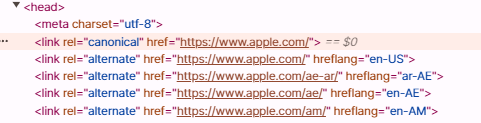 apple.com 의 캐노니컬 URL 활용 예시